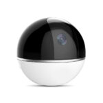 Ornare sed consequat nisl eget mi porttitor